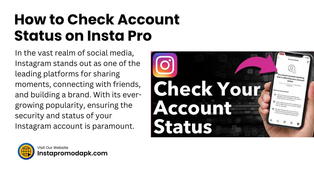 How to Check Account Status on Insta Pro